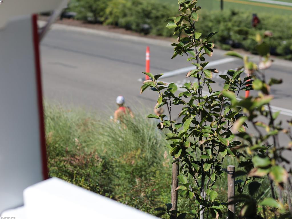 ការផ្តល់ជូននិងក្រុមហ៊ុន