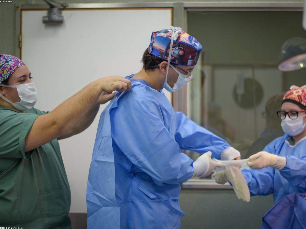 ការផ្តល់ជូននិងក្រុមហ៊ុន: របៀបសម្របសម្រួលការផ្តល់ជូន