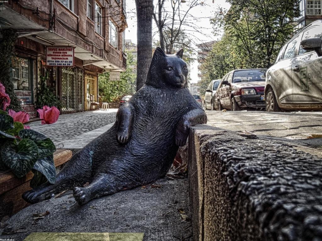 គន្លឹះសម្រាប់អ្នកថ្មី៖ ការអភិវឌ្ឍន៍ទម្លាប់វិជ្ជមាន