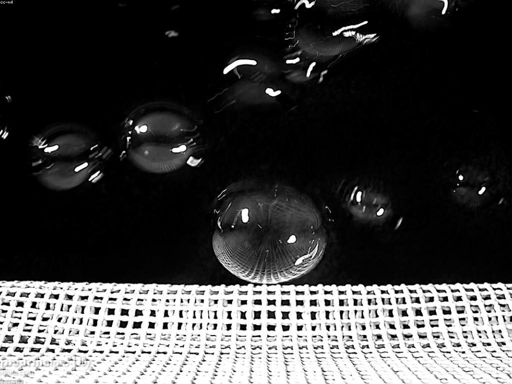 ការផ្តល់ជូននិងក្រុមហ៊ុន: មូលដ្ឋានសម្រាប់ភាពជោគជ័យ